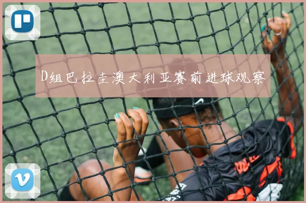 D组巴拉圭澳大利亚赛前进球观察