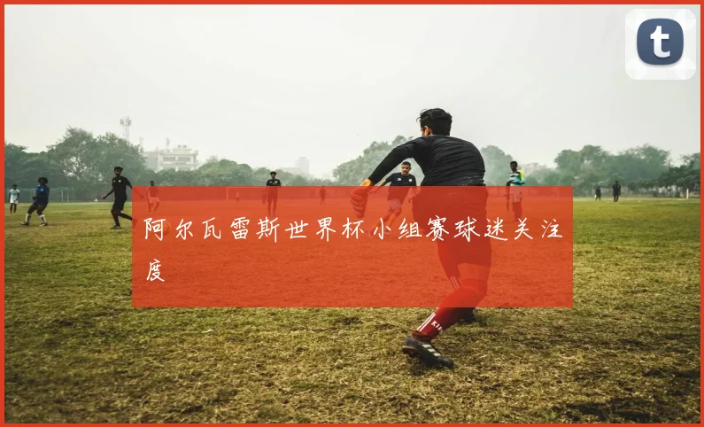 阿尔瓦雷斯世界杯小组赛球迷关注度