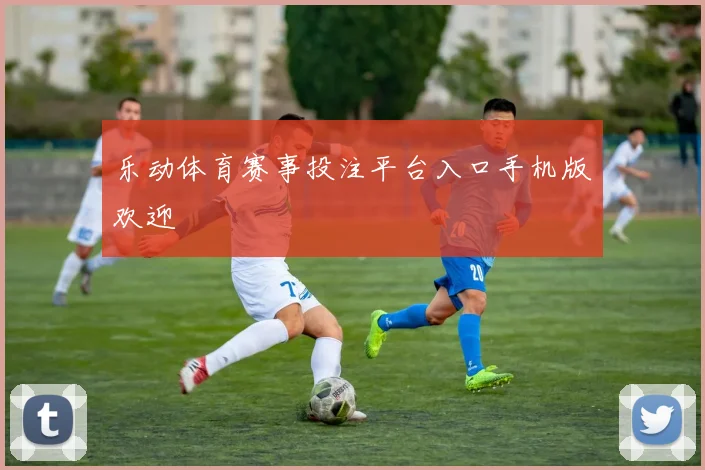 乐动体育赛事投注平台入口手机版欢迎